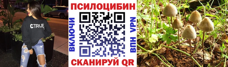 Купить  Тотьма  Псилоцибиновые грибы прущие грибы 