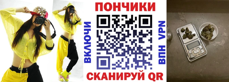 Купить  Тотьма  Канабис планчик 